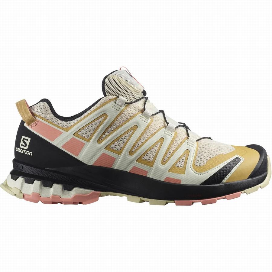 Salomon Xa Pro 3d V8 Trail Löparskor Dam Olika Färger [CGF121FS]